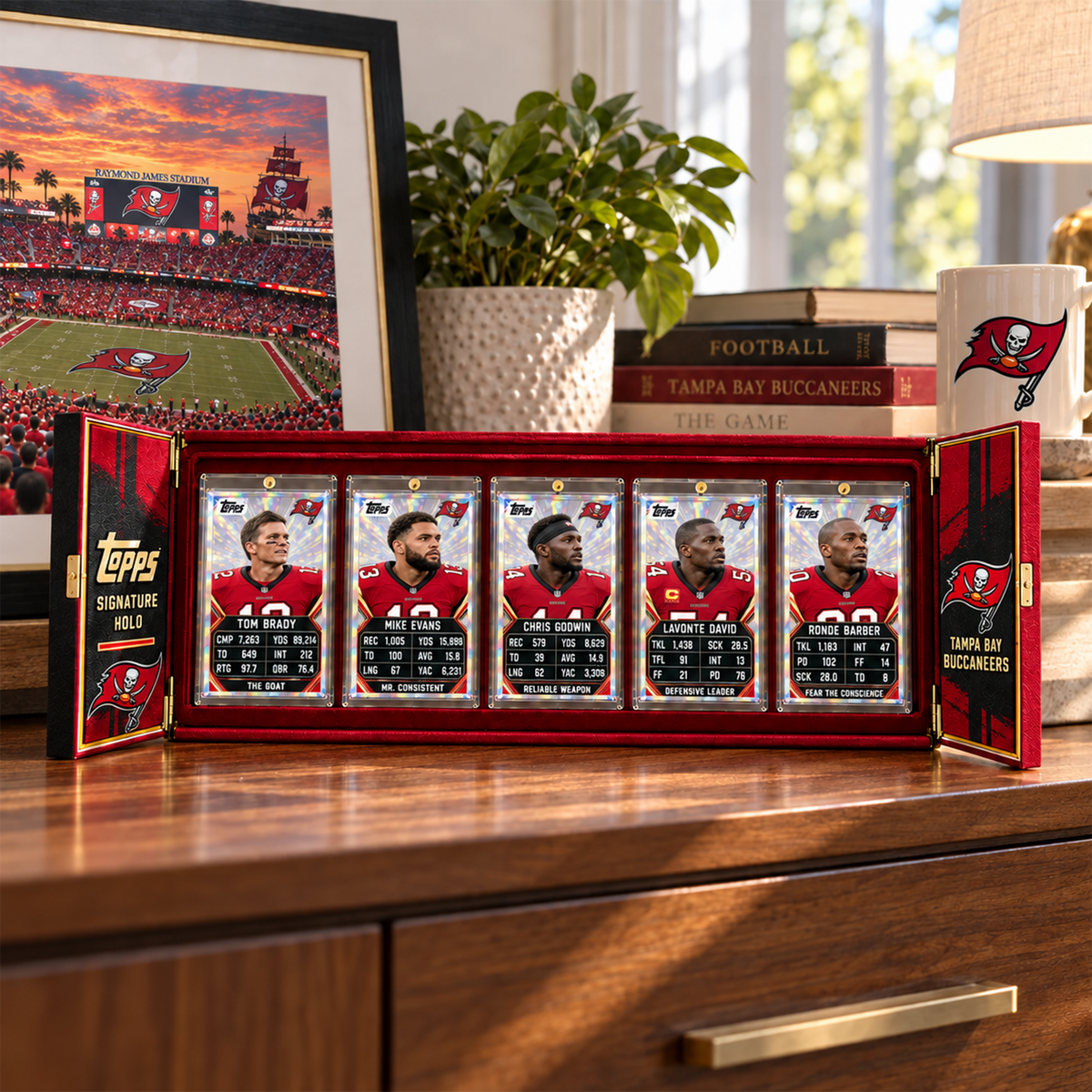 Premium NFL TB Card Collector‘s Box Set