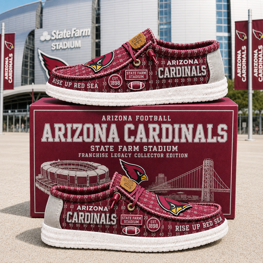 Premium NFL AC Heritage Loafer Shoes